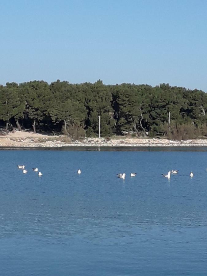 Apartmani Matko بيتينا المظهر الخارجي الصورة